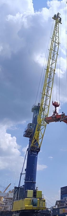 2007 Liebherr LHM 500 2 Rope